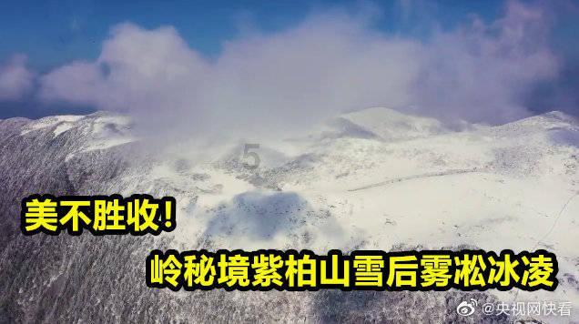中国顺客隆：供销大集与产业投资人签订投资协议等议案获股东大会批准